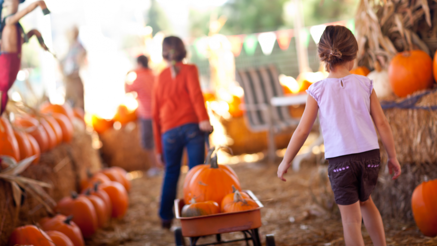 Little Girls Pulling Their Pumpkins In A Wagon At A Pumpkin Patch One Fall Day.