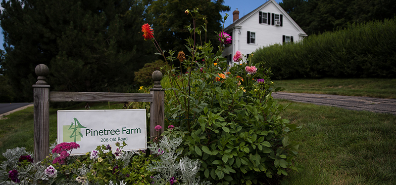 Pinetree Farm sign